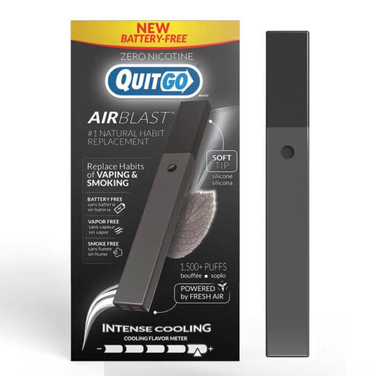 quitgo intense mint flavor quit smoking